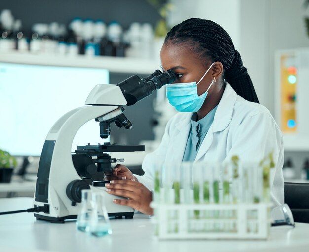 Black scientist working in biotechnology laboratory
